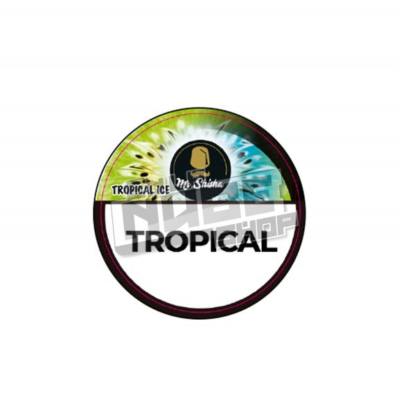 MR.SHISHA TROPICAL - 100g